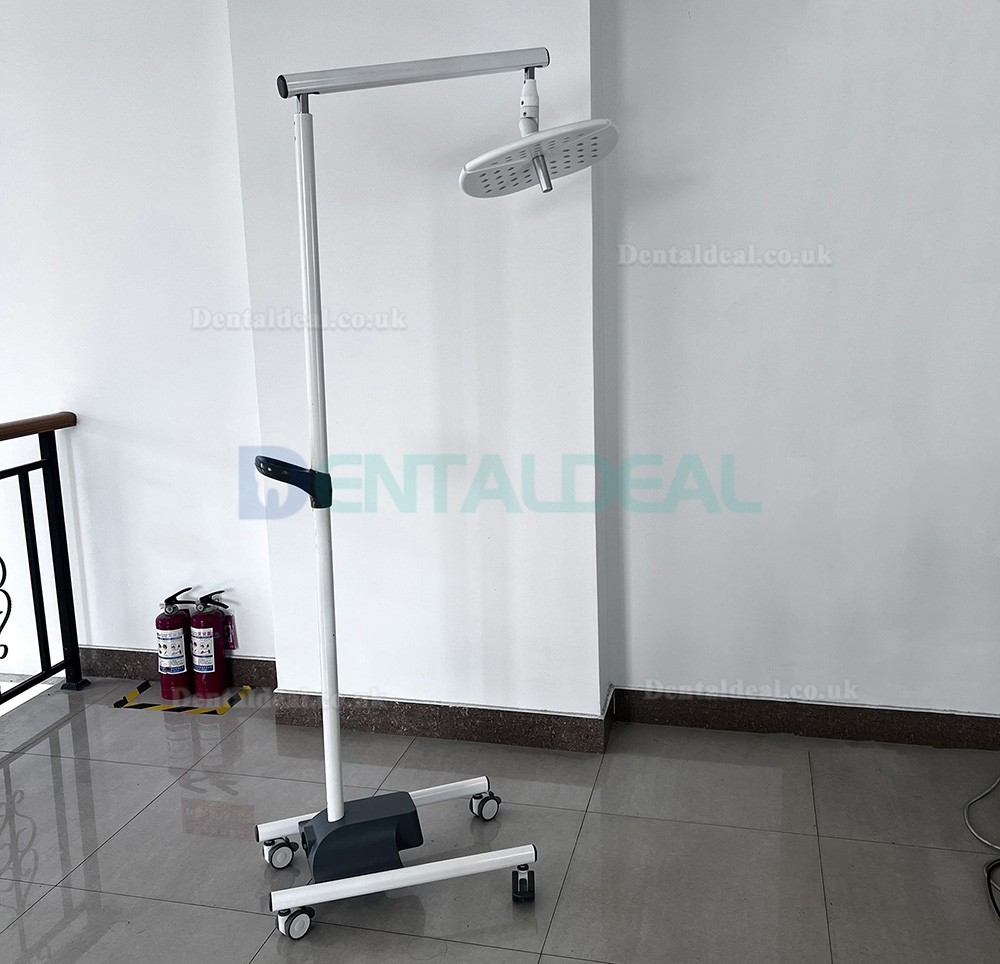 KWS KD-2036L-4 80W Mobile Dental LED Surgical Light Floor Standing